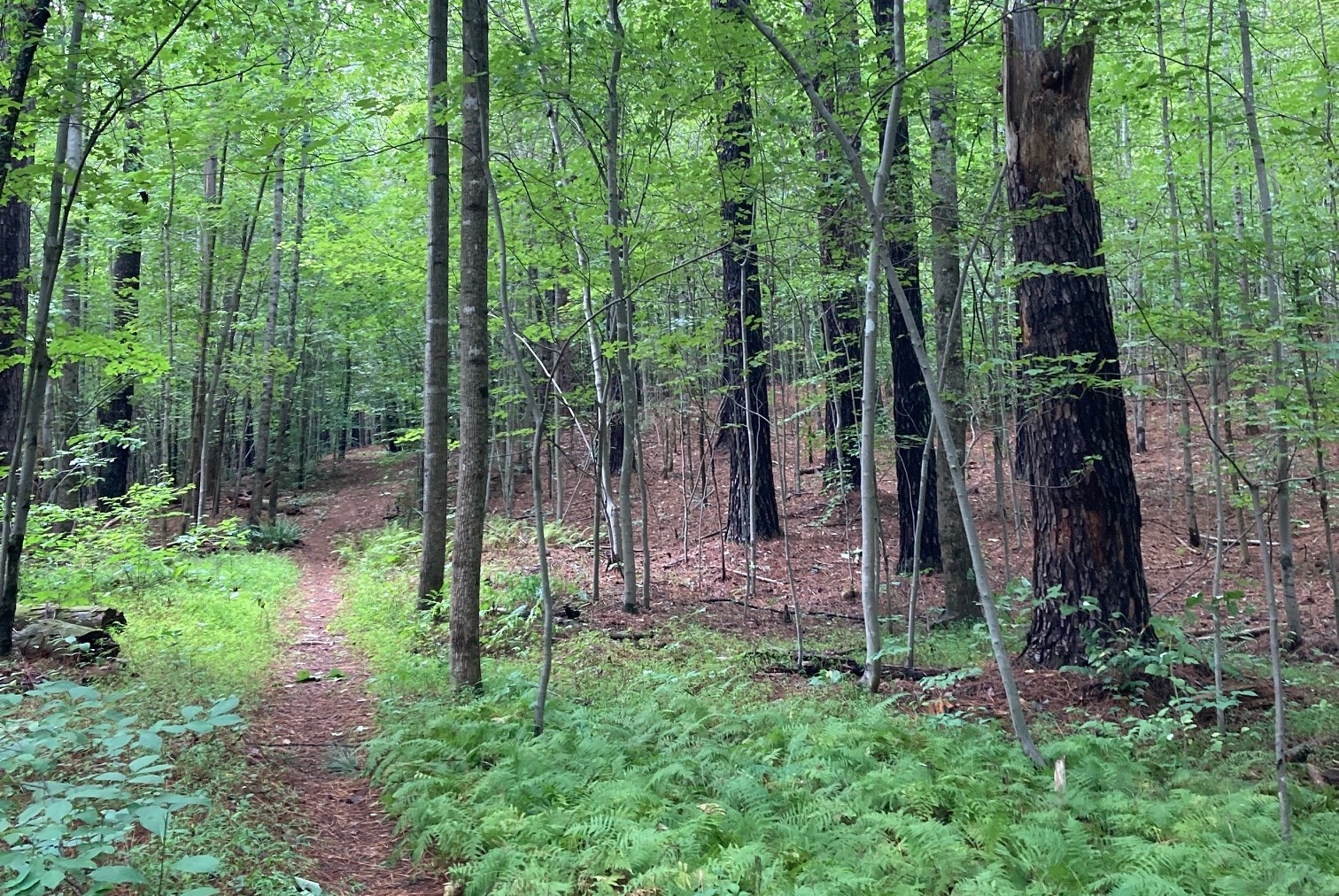 sacred-place-biodynamic-association